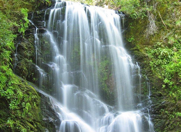 Cascades Berry Creek