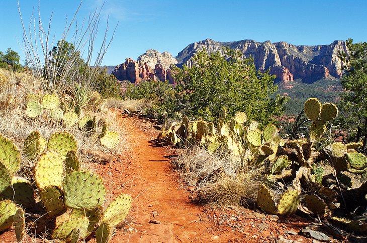 Sendero de senderismo en Airport Mesa