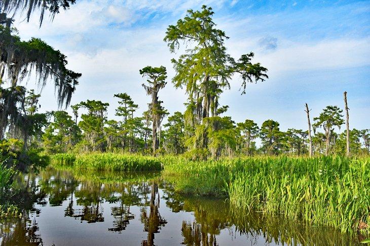 Réserve Barataria