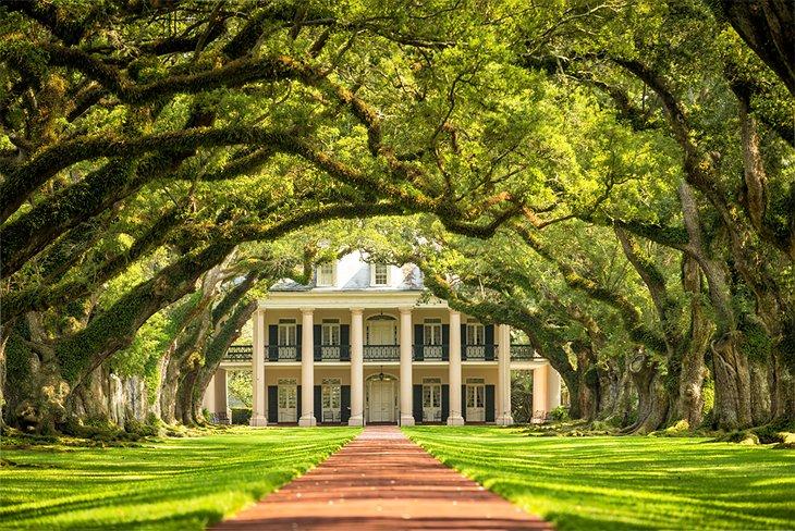 Plantation Oak Alley