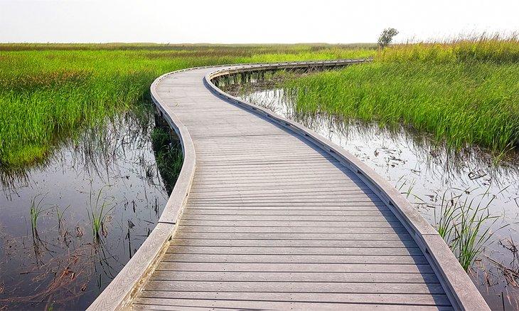 Sentier en planche dans la Réserve nationale de la faune de Sabine le long du Sentier de la Nature Créole