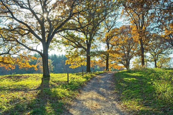 Sendero a través de Appleton Farms