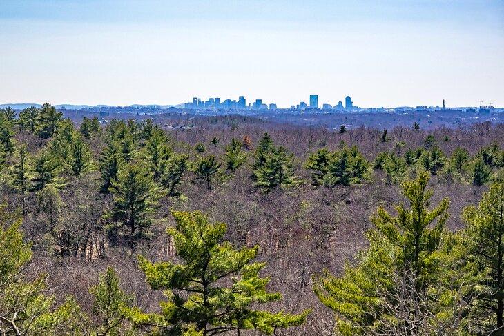 Vista del horizonte de Boston desde la Reserva de Lynn Woods
