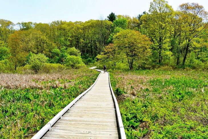 Sendero de Battle Road cerca de Boston