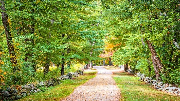Sendero de Battle Road