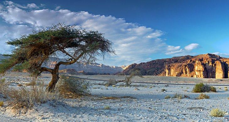 Parque Timna
