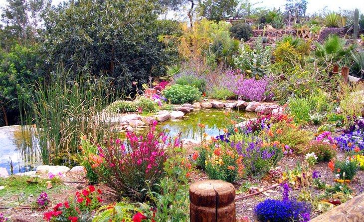 Jardín Botánico en Eilat