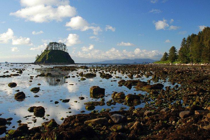 La costa de Ozette