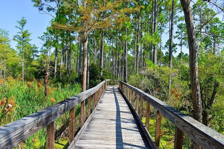 Parque de Conservación de Panama City Beach (PCB)