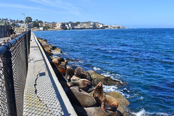 Muelles de la Guardia Costera