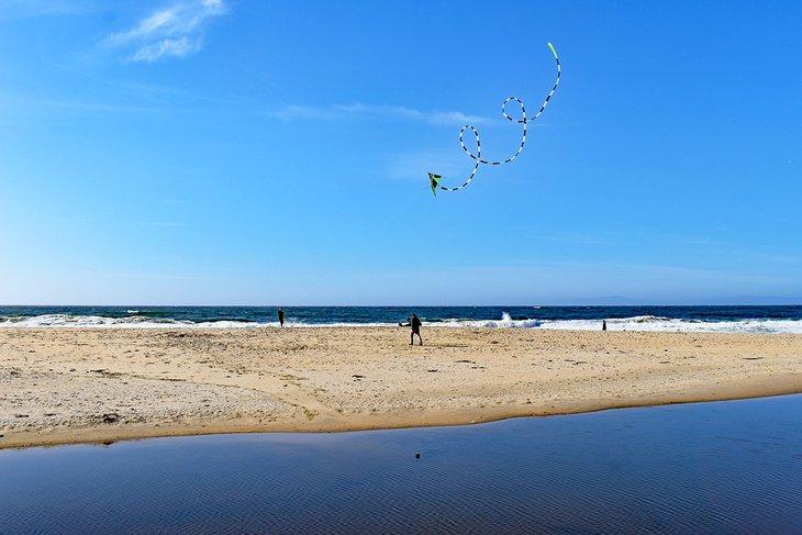 Playa Estatal de Monterey