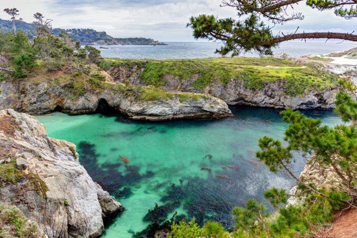 Reserva Natural Estatal de Point Lobos