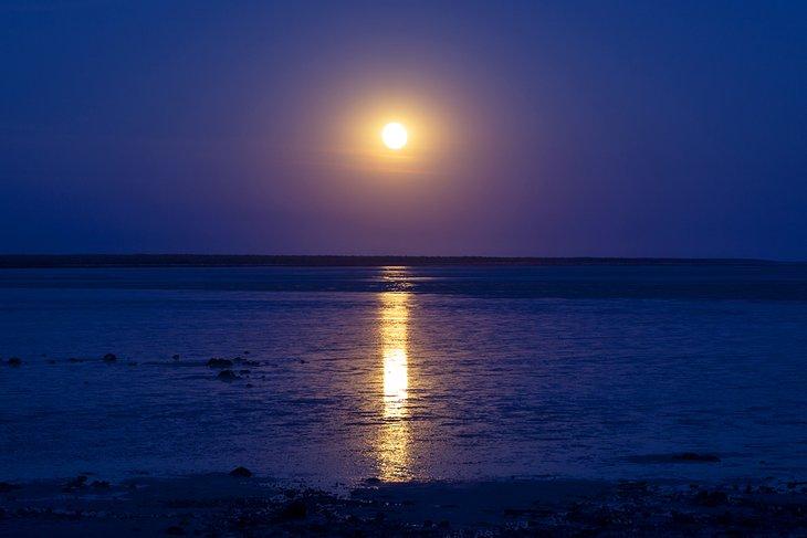 Escalera hacia la Luna en Town Beach en Broome, Australia Occidental
