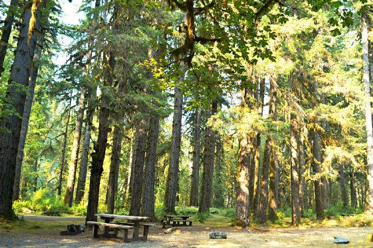 Camping Graves Creek