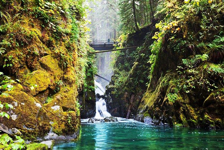 Baños Termales Sol Duc