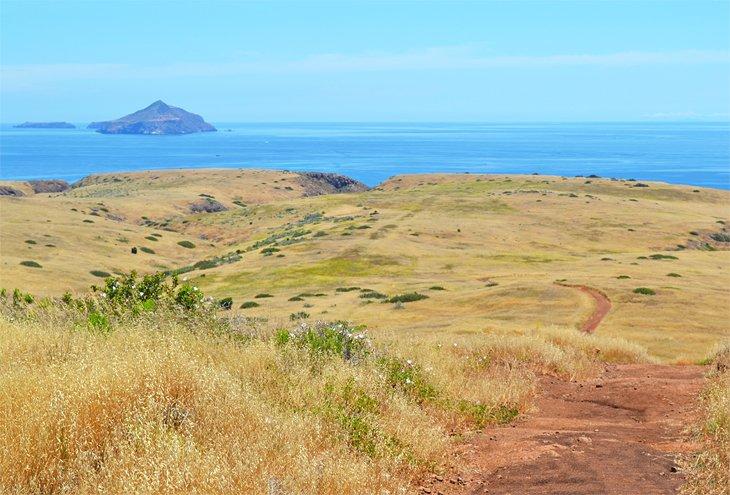 Isla Santa Cruz, Parque Nacional de las Islas del Canal