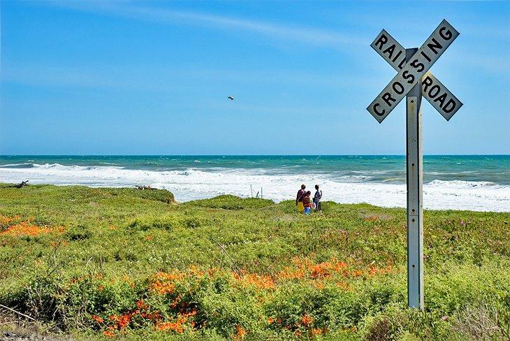 Cruce de ferrocarril en la Playa Estatal Emma Wood