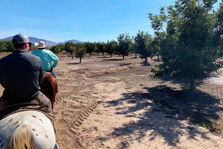 Reiten in El Paso