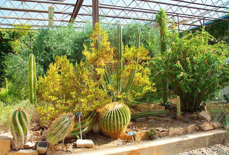 Museo Centennial y Jardines del Desierto Chihuahuense