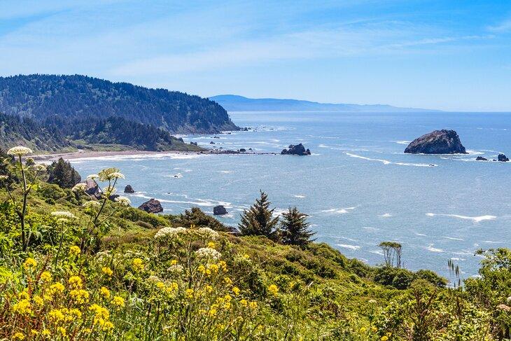 Parc d'État de Del Norte Coast Redwoods