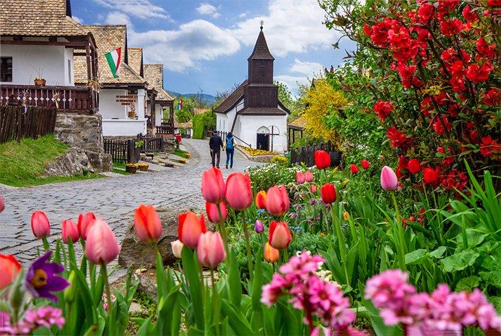 Tulipes dans le village de Holloko