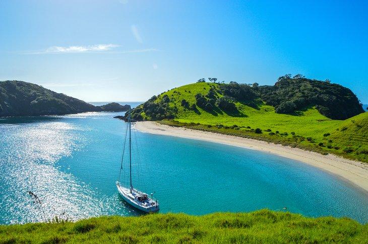 Paihia, Bahía de las Islas