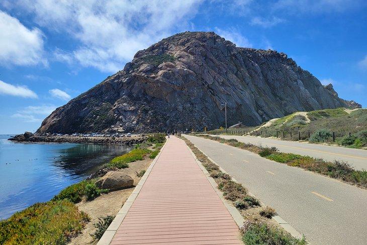 Coleman Park, en ruta a la Playa Morro Rock