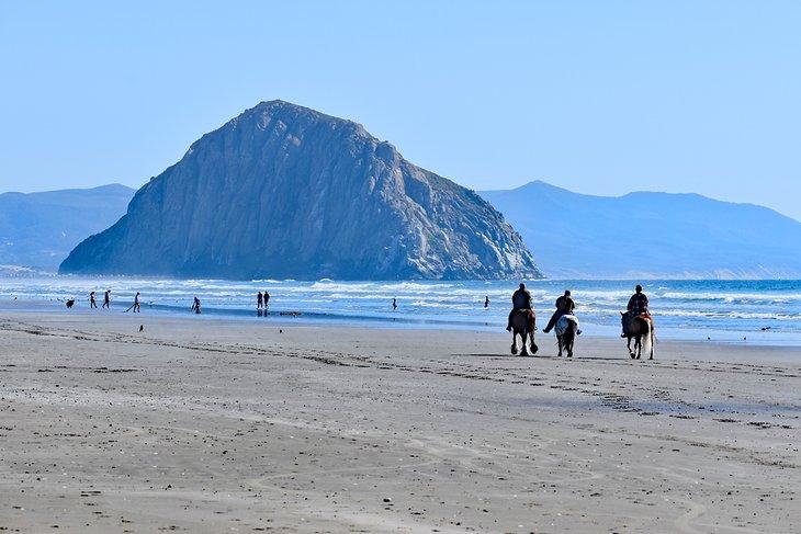 Playa Estatal Morro Strand