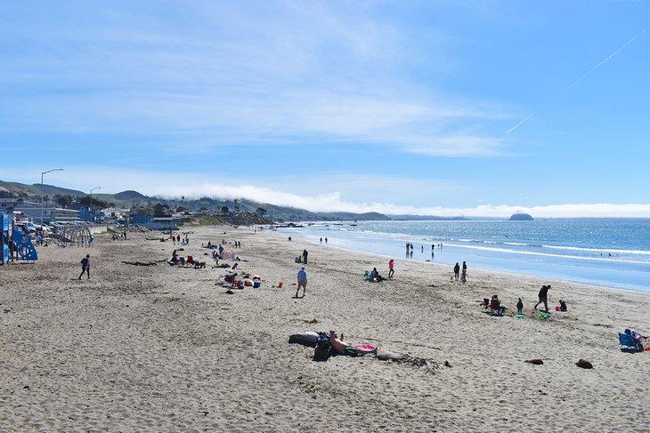 Playa Estatal Cayucos