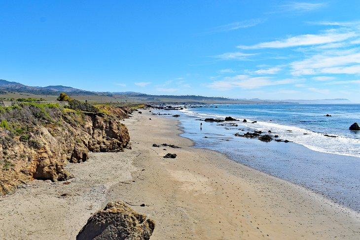 Playa Estatal William Randolph Hearst
