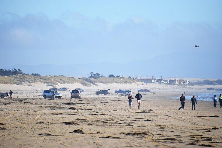 Vehículos en el extremo sur de la Playa Estatal Pismo