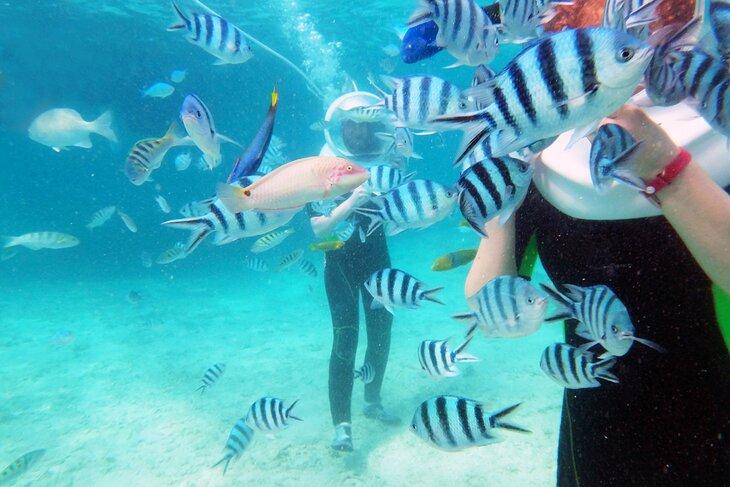 Bucear con Sea Trek