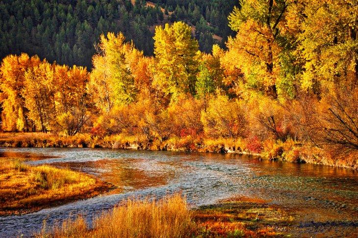 El río Clark Fork tiene excelente pesca con mosca en otoño