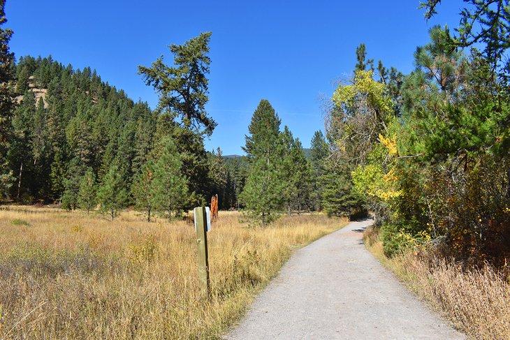 Sendero a través del Área Nacional de Recreación Rattlesnake