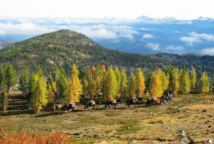 Bosque Nacional Lolo