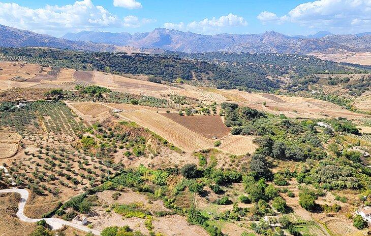 Paysage près de Ronda