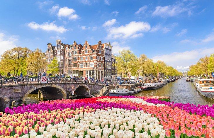 Frühlings-Tulpen entlang eines Kanals in Amsterdam