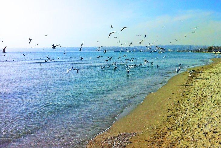Playa en Büyükçekmeče