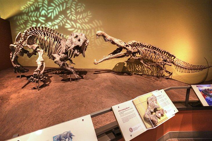 Museo de Historia Natural y Ciencia de Nuevo México