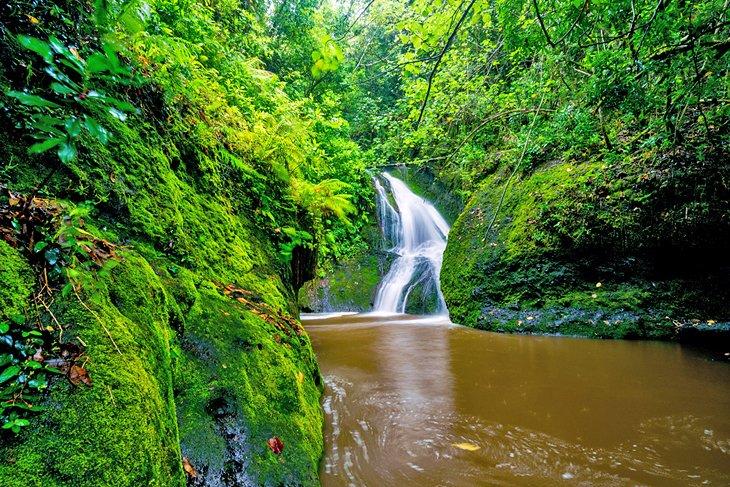 Cascada de Papua