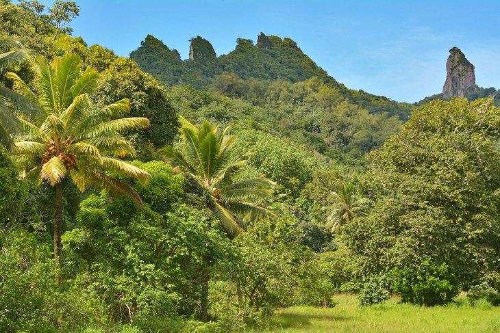 Paisaje tropical exuberante de Rarotonga con el Monte Te Manga a lo lejos
