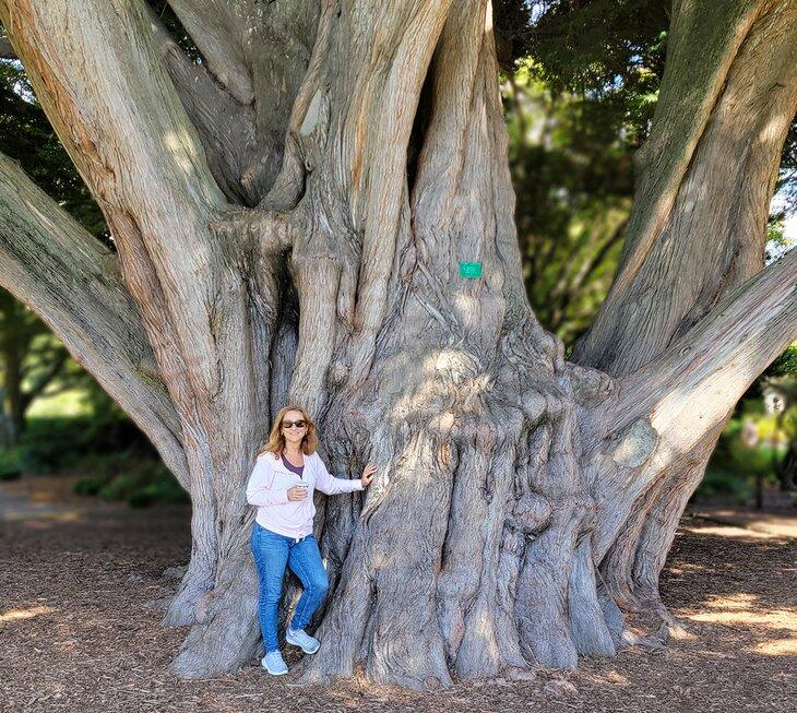 Autorin Lana Law in den Botanischen Gärten von Christchurch