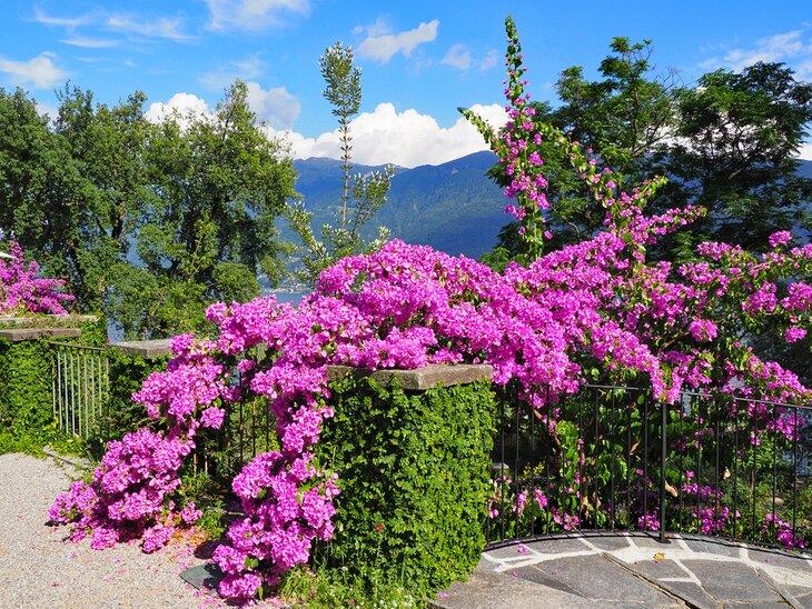 Jardines de Brissago