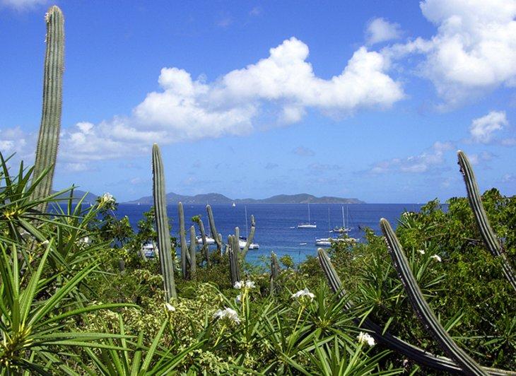 Parque Nacional Gorda Peak