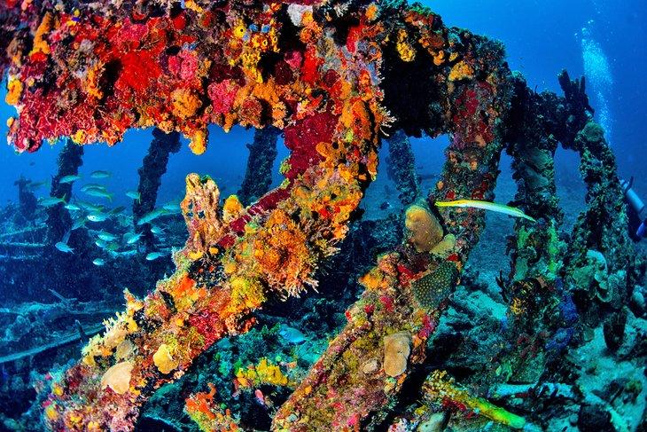 Buceo en el naufragio del RMS Rhone