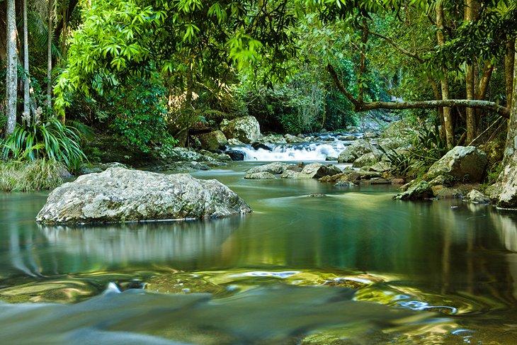 Cataratas Purling Brook