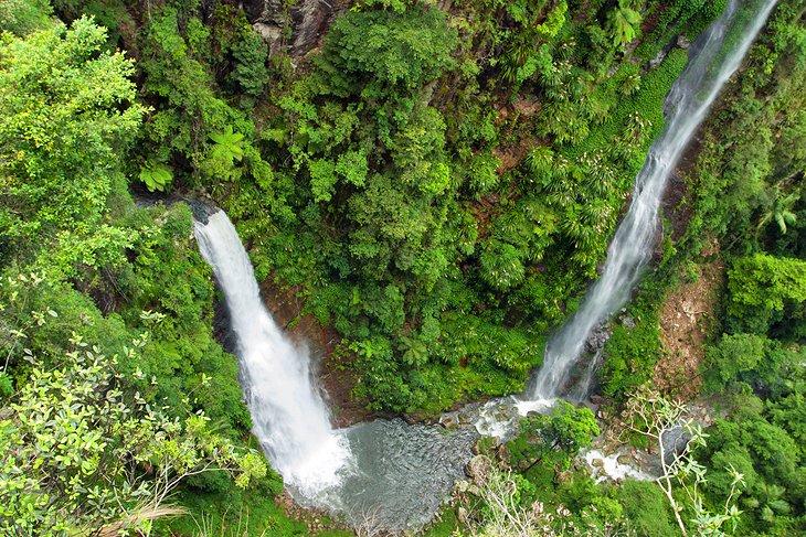 Parque Nacional Lamington