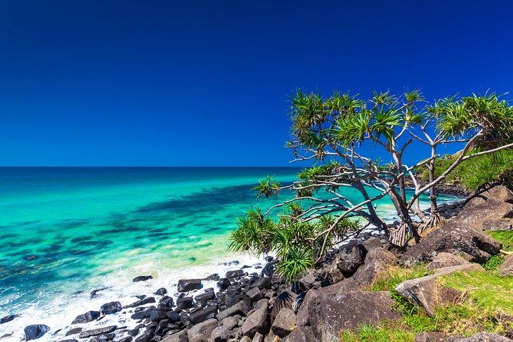 Parque Nacional Burleigh Heads