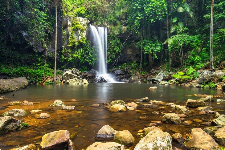 Cataratas Curtis, Parque Nacional Tamborine
