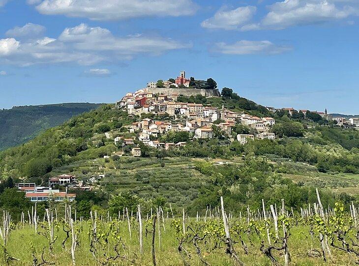 Motovun vu de loin